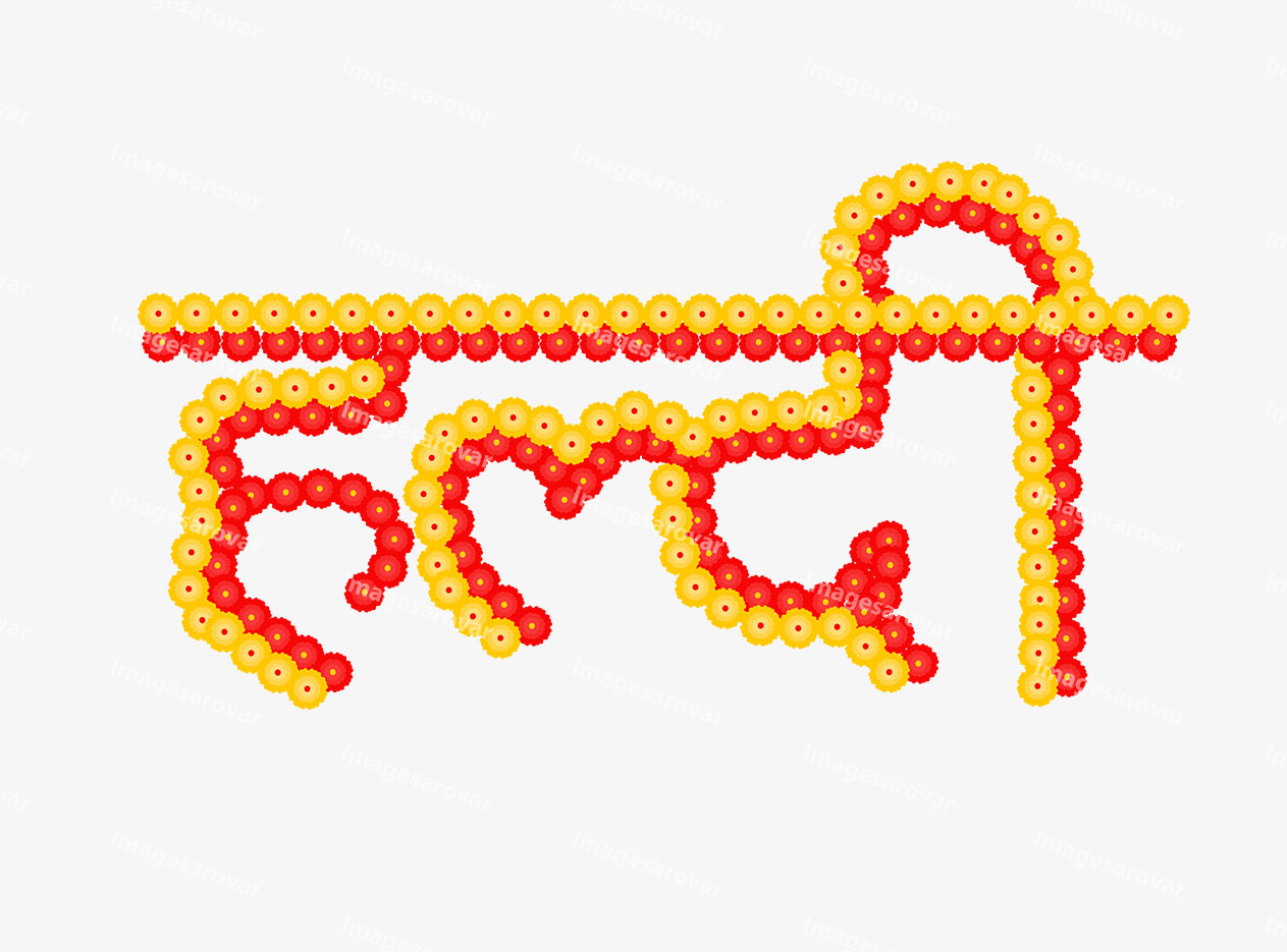 haldi flower hindi calligraphy png vector illustration
